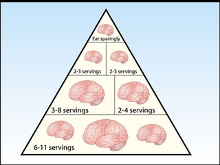 The revised Zombie Food Pyramid.